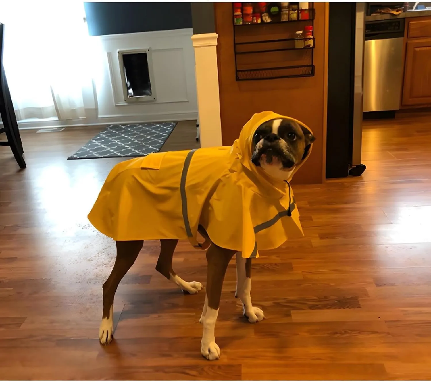 Large Dog Raincoat Adjustable Pet Water Proof Clothes Lightweight Rain Jacket Poncho Hoodies with Strip Reflective (XL, Yellow)